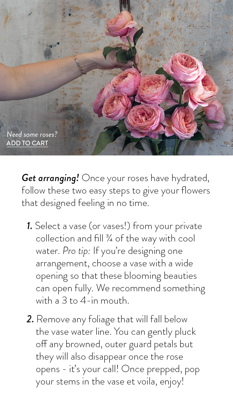 Get arranging! Once your roses have hydrated, follow these two easy steps to give your flowers that designed feeling in no time. 1. Select a vase (or vases!) from your private collection and fill ¾ of the way with cool water. Pro tip: If you’re designing one arrangement, choose a vase with a wide opening so that these blooming beauties can open fully. We recommend something with a 3 to 4-in mouth. 2. Remove any foliage that will fall below the vase water line. You can gently pluck off any browned, outer guard petals but they will also disappear once the rose opens - it’s your call! Once prepped, pop your stems in the vase et voila, enjoy!