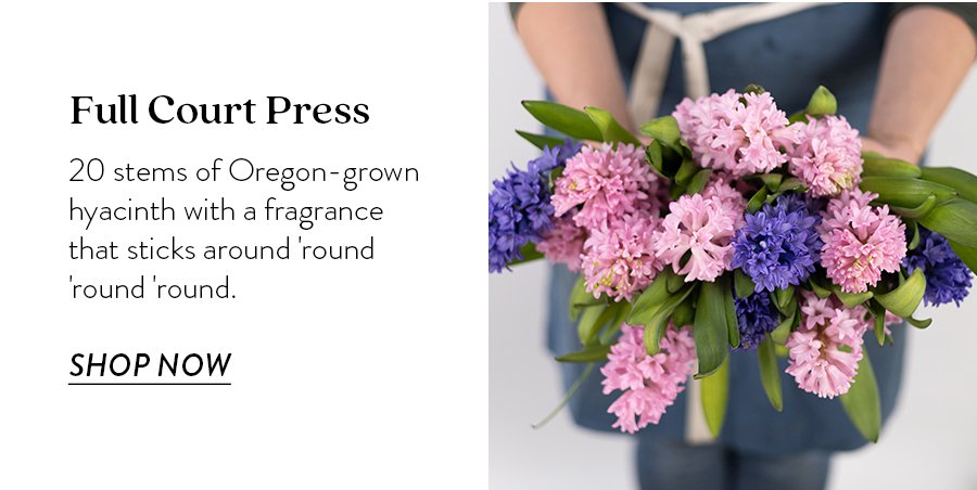 Full Court Press 20 stems of Oregon-grown hyacinth with a fragrance that sticks around 'round 'round 'round. SHOP NOW