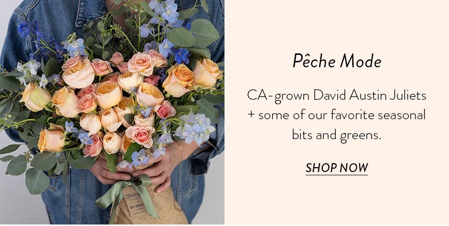 CA-grown David Austin Juliets + some of our favorite seasonal bits and greens. SHOP NOW