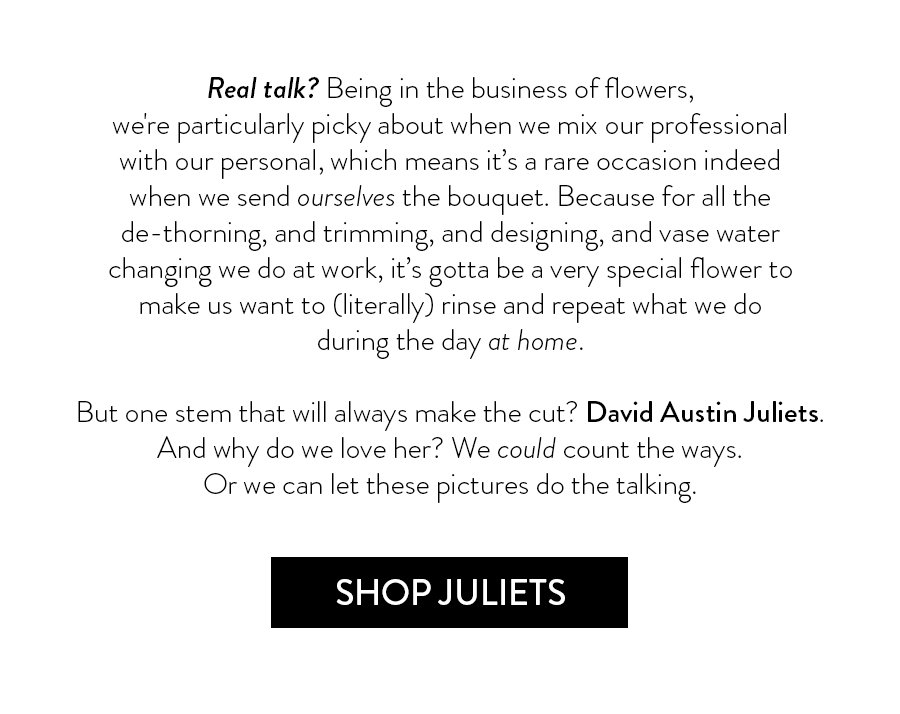 Real talk? Being in the business of flowers, we're particularly picky about when we mix our professional with our personal, which means it’s a rare occasion indeed when we send ourselves the bouquet. Because for all the de-thorning, and trimming, and designing, and vase water changing we do at work, it’s gotta be a very special flower to make us want to (literally) rinse and repeat what we do during the day at home. But one stem that will always make the cut? David Austin Juliets. And why do we love her? We could count the ways. Or we can let these pictures do the talking. 