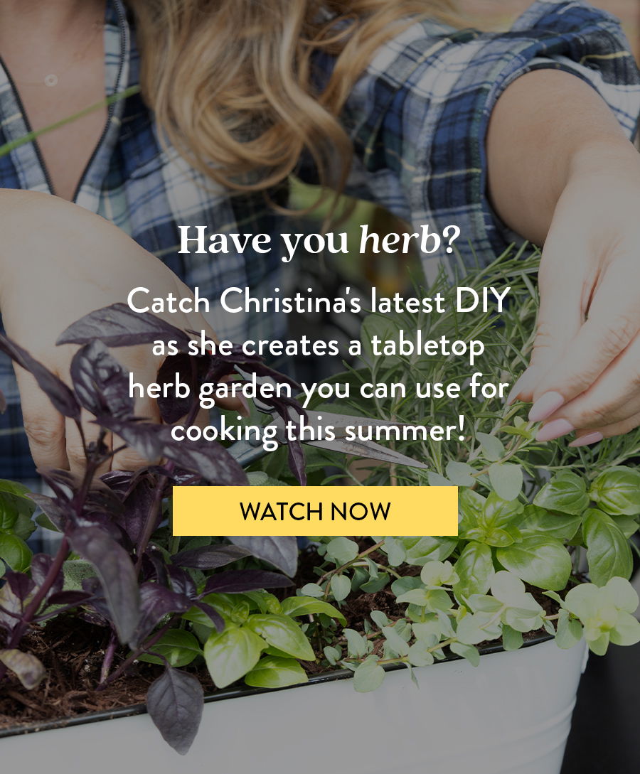 Have you herb? Catch Christina's latest DIY as she creates a tabletop herb garden you can use for cooking this summer!