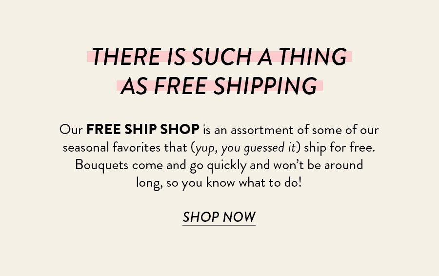 There is a such thing as free shipping. Our Free Ship Shop in an assortment of some of our seasonal favorites that )yup you guessed it) ship for free. Bouquets come and go quickly amd won't be around long, so you know what to do!