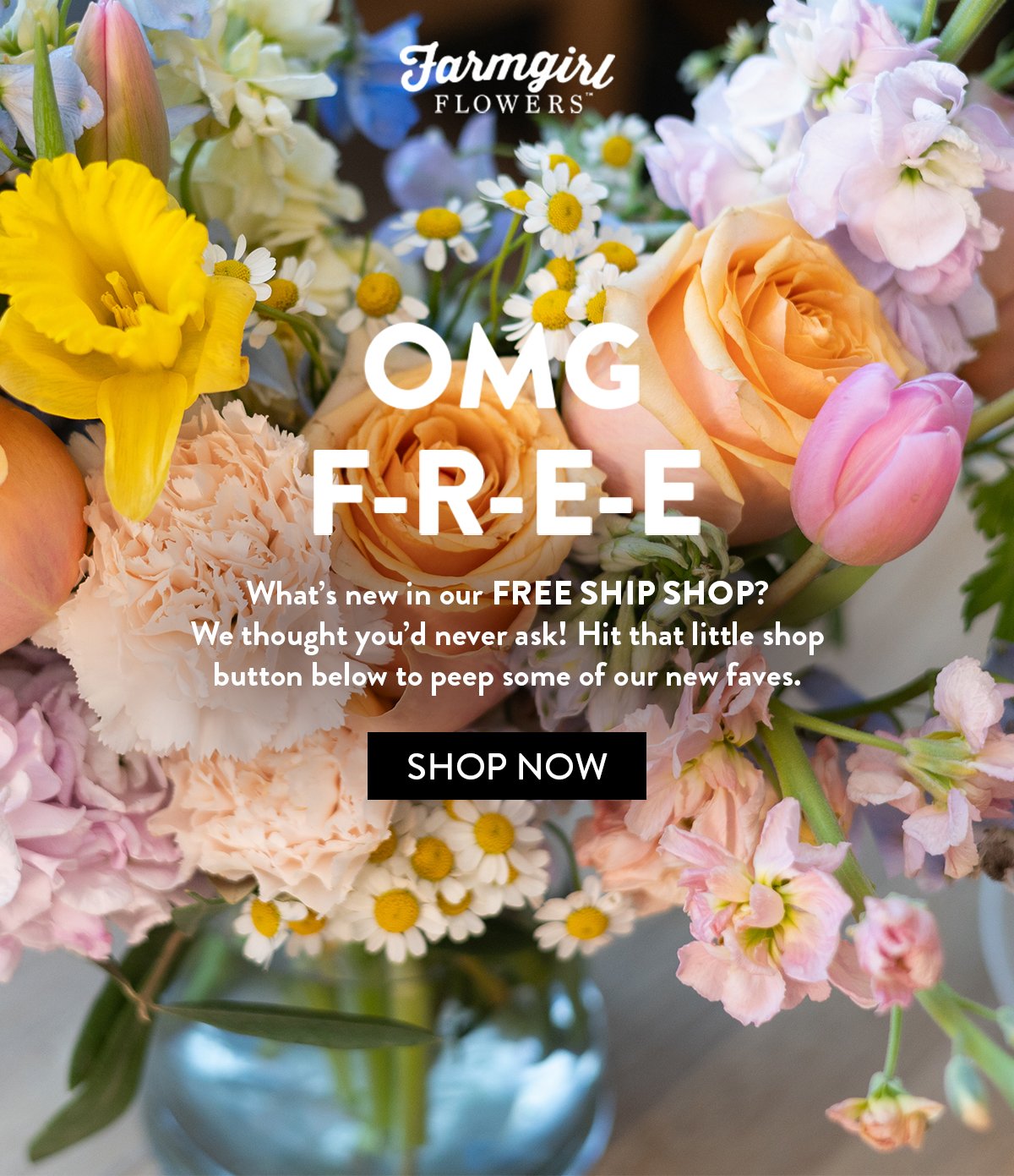 OMG F-R-E-E What's new in our Free Ship Shop? We thought you'd never ask! Hit that little shop button below to peep some of our new faves.