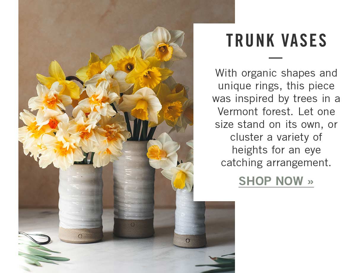 Trunk Vases