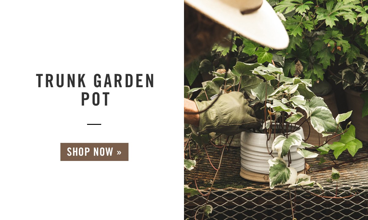 Trunk Garden Pot