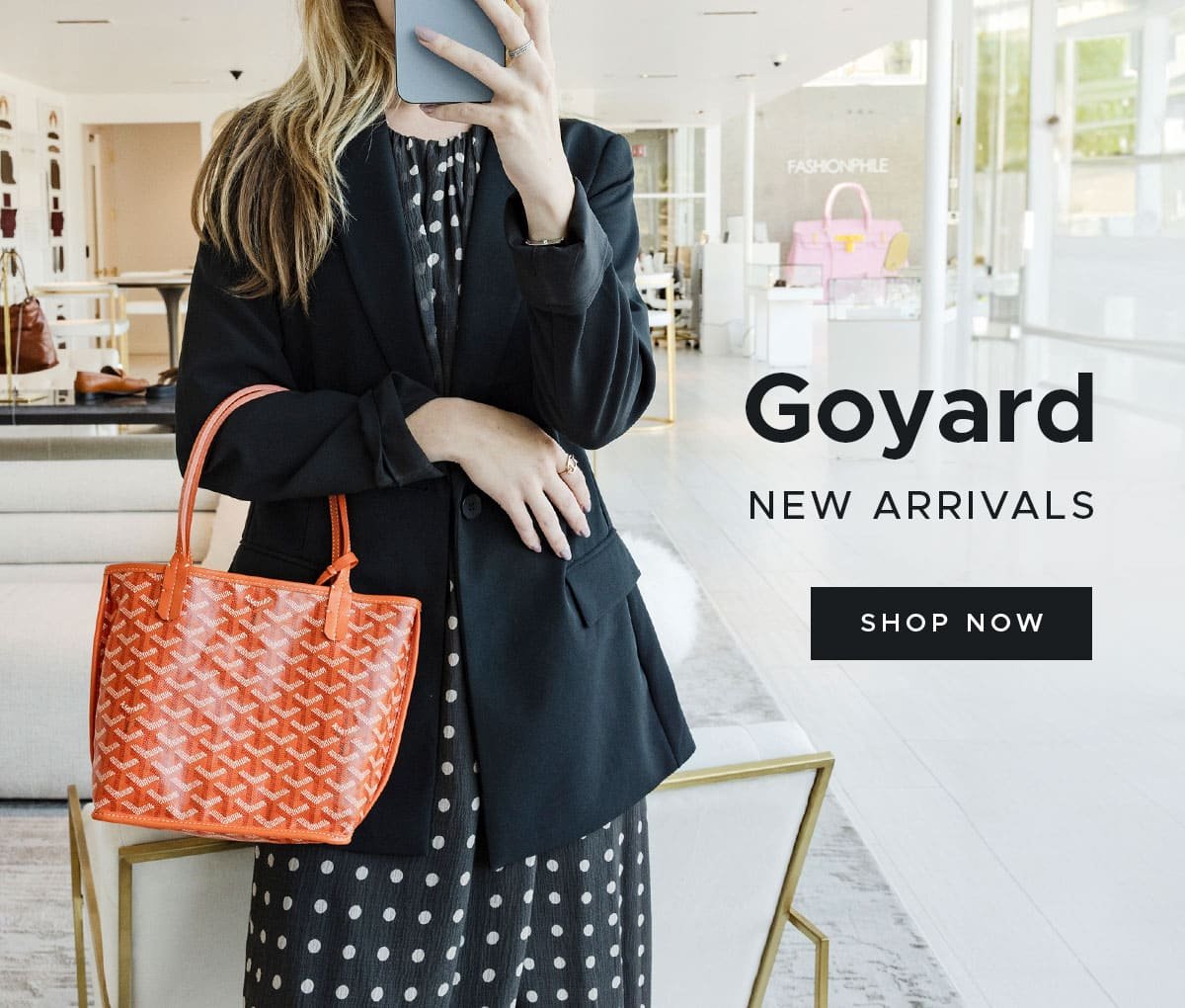 Goyard New Arrivals 