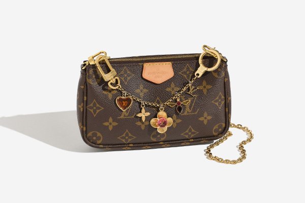 Louis Vuitton Pochette Accessories