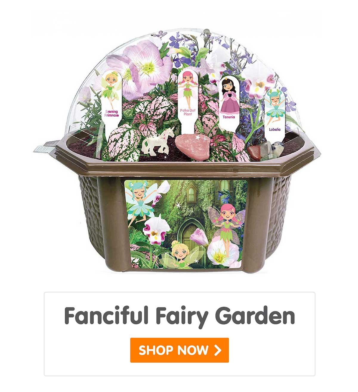 Fanciful Fairy Garden