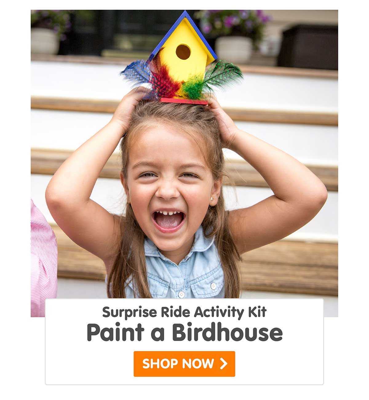 Surprise Ride - Paint a Birdhouse Activity Kit