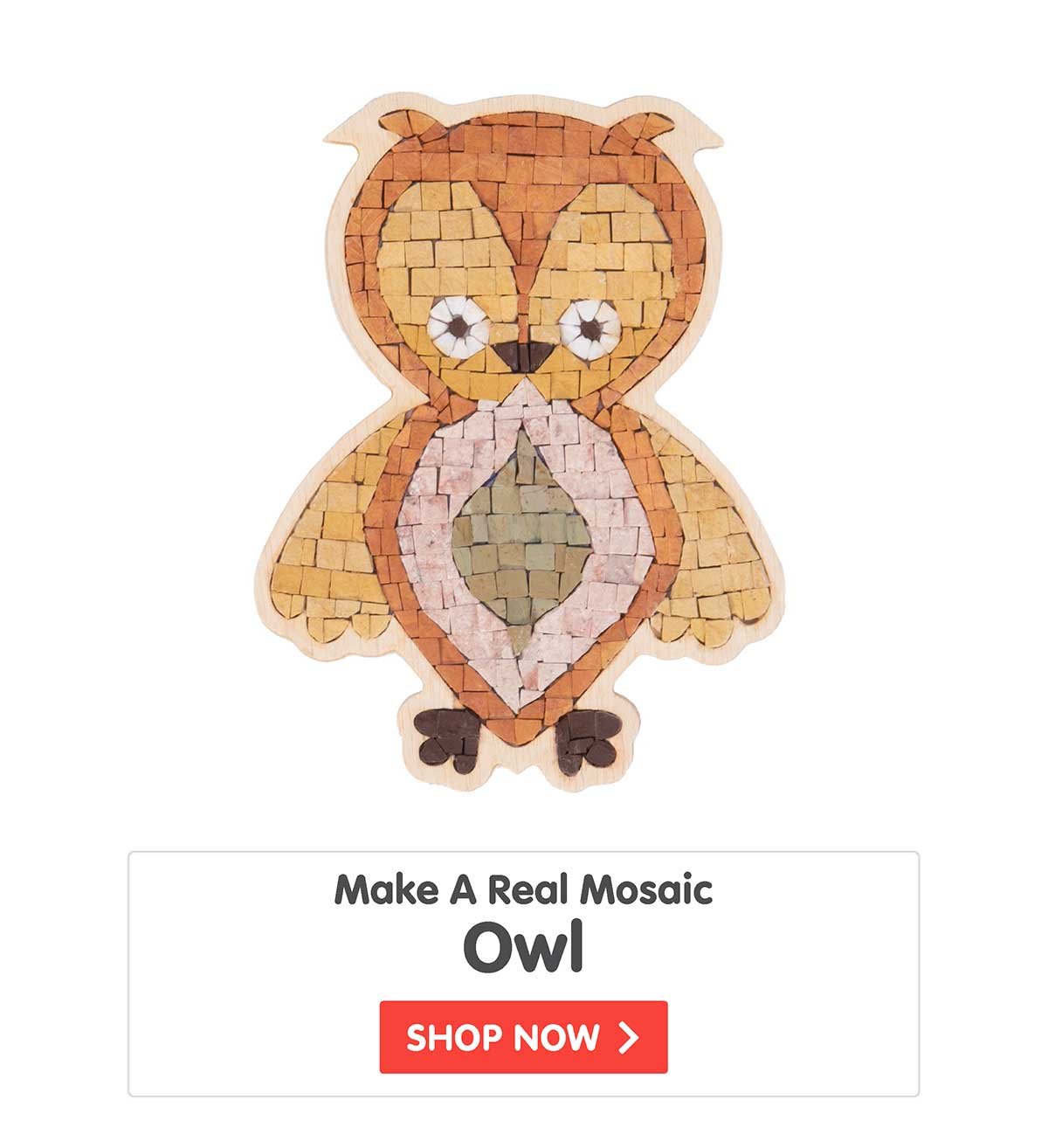 Make A Real Mosaic - Owl