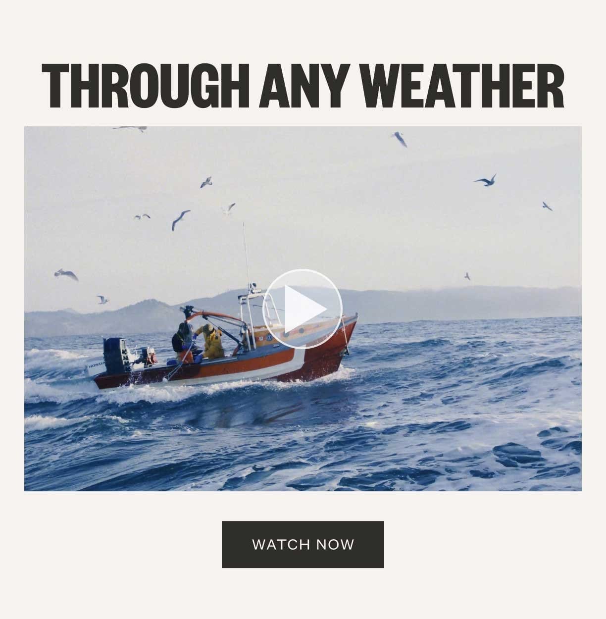 Through Any Weather Video