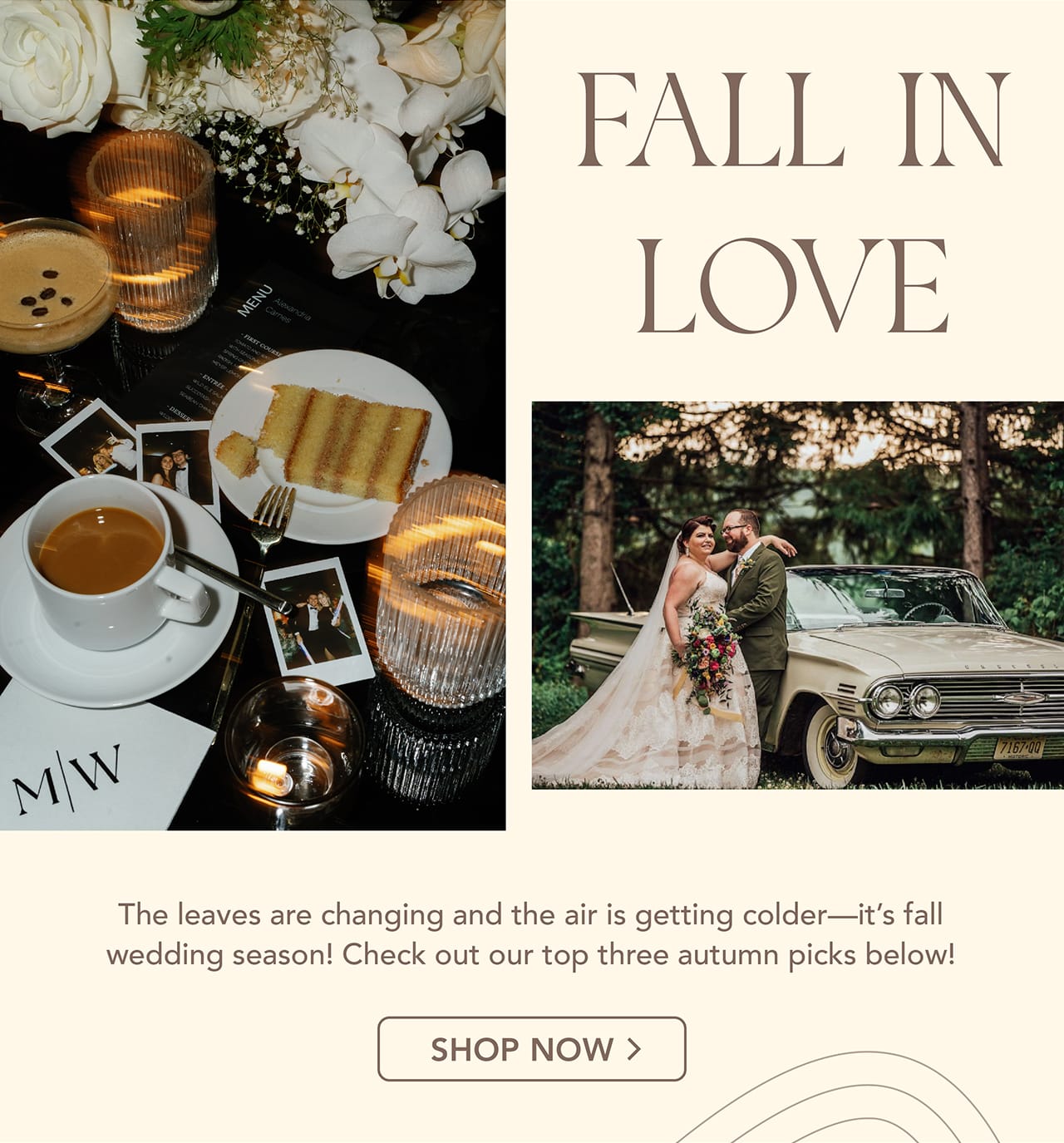 Fall in love with our fall fall picks!