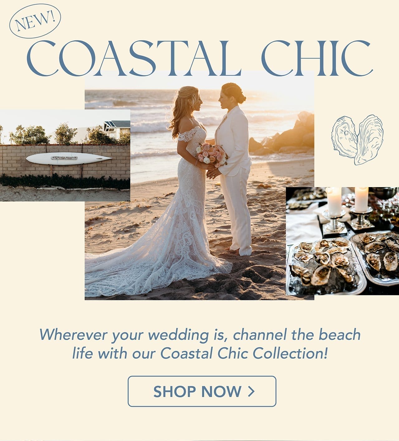 Shop the new coastal chic collection