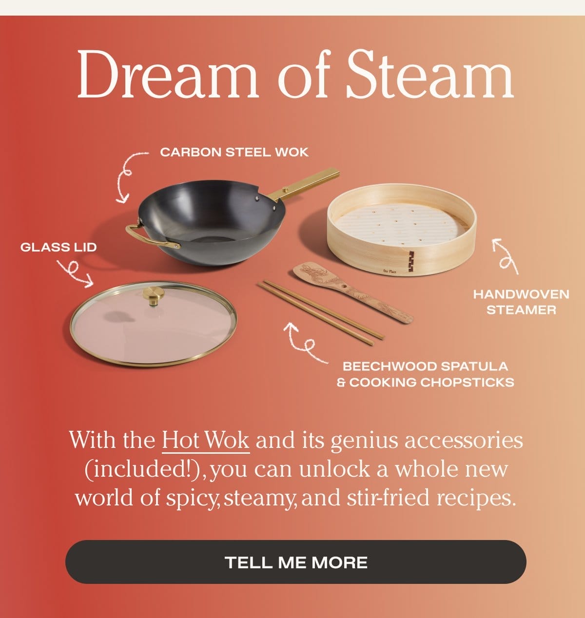 Dream of Steam - With the Hot Wok and its genius accessories (included!), you can unlock a whole new world of spicy, steamy, and stir-fried recipes. - Tell Me More