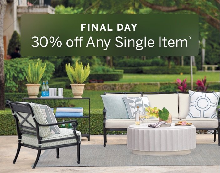 final day 30% off any single item*