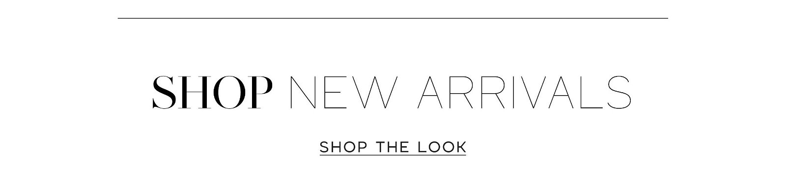 New Arrivals Collection >> Shop Now