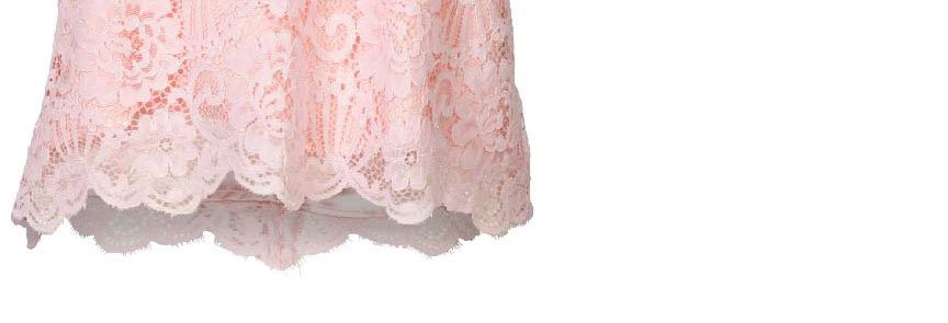 Steffina Lace Top - Ballet Slipper >> Shop Now