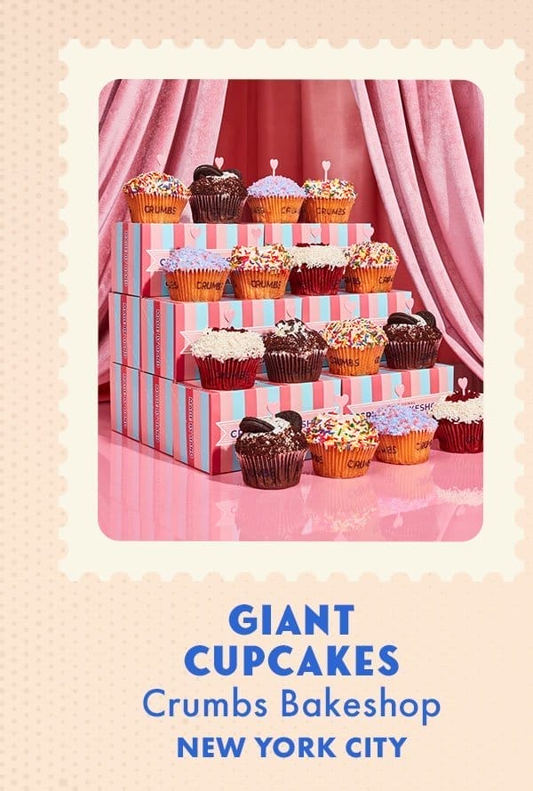 Giant Cupcakes