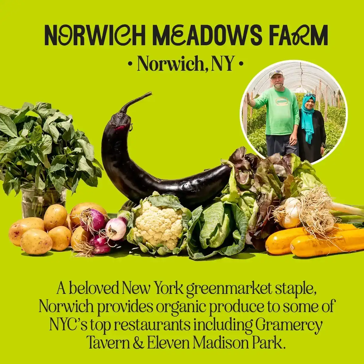 Norwich Meadows Farm