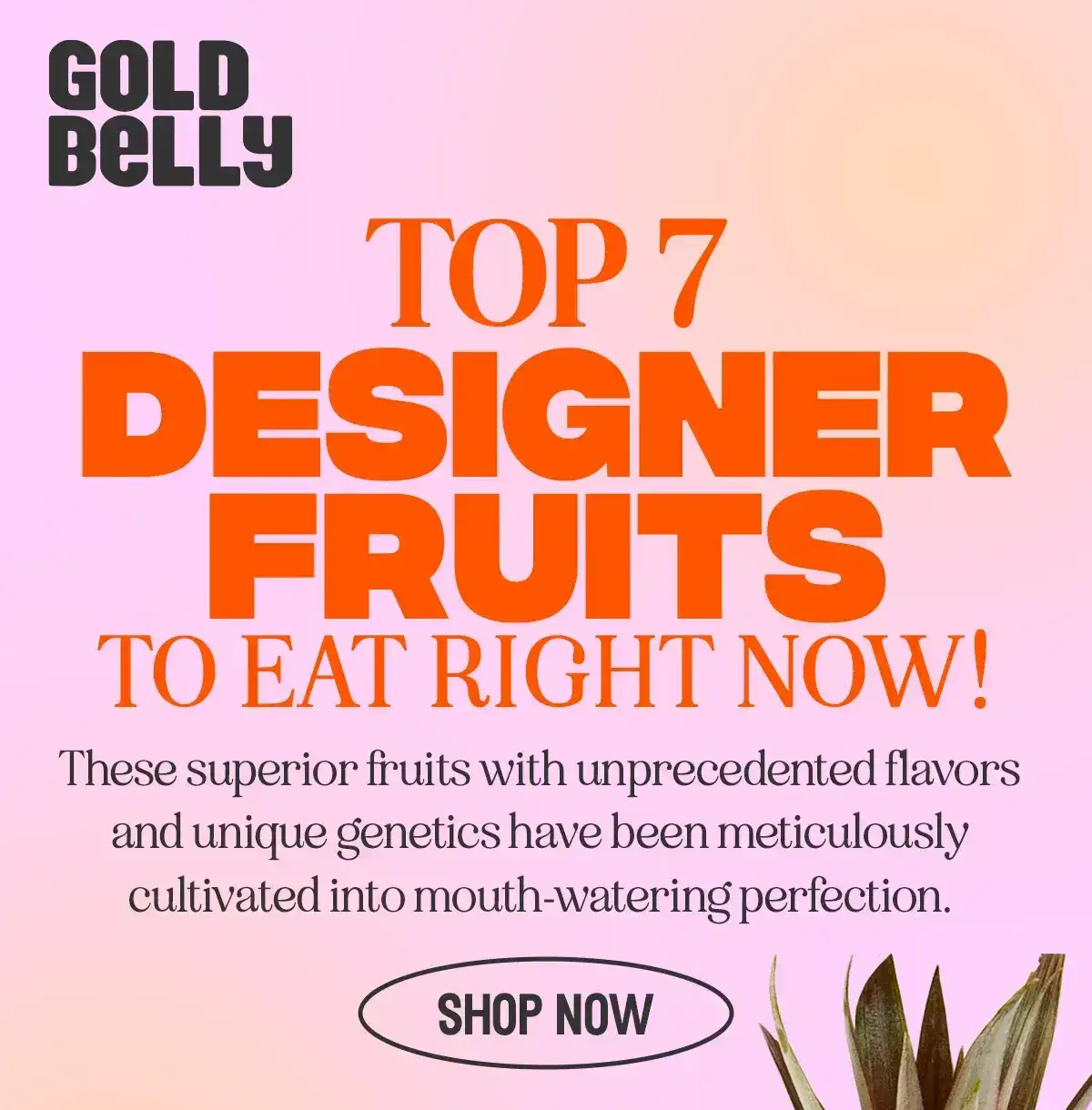 Top 7 Designer Fruits