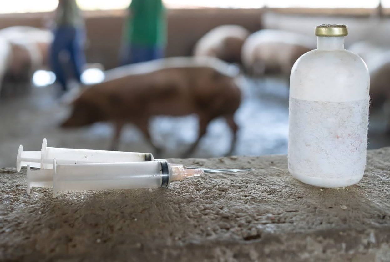 Sequivity, an RNA-based vaccine is now available for commercial use in pork production.