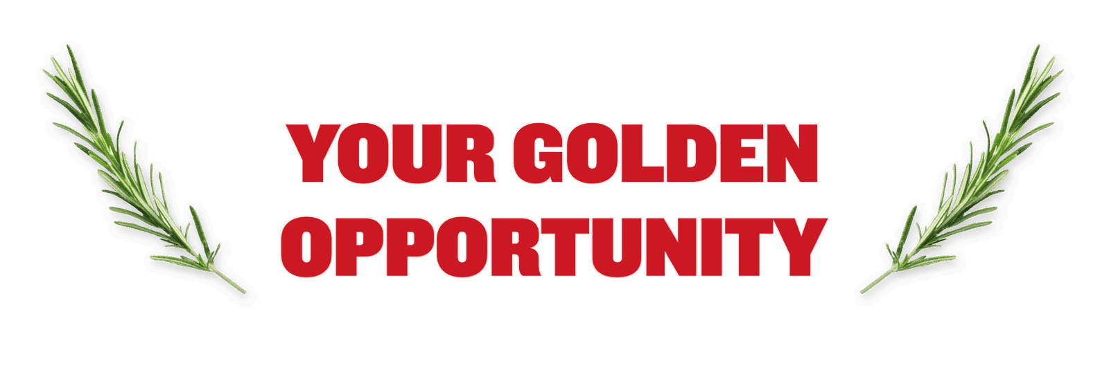 Your Golden Opportunity