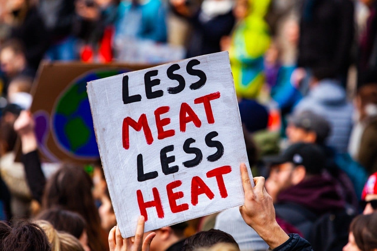 The UN's Food & Agriculture Organization is calling on Americans to eat less meat—citing meat consumption as a contributor to greenhouse gas.