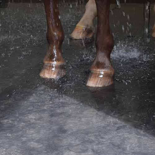 hooves on black washbay mats