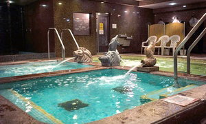 General Spa Admission at King Spa and Sauna Chicago
