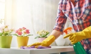 House Cleaning Services from Cozy Maid