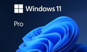 Up to 89% Off on Microsoft Windows 11 Professional