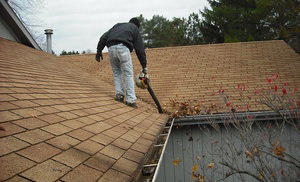 Gutter Cleaning