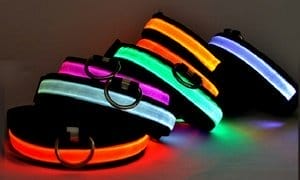 USB LED Dog Pet Light Up Safety Collar Night Glow Adjustable Bright Rechargeable