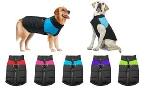 Dog Winter Jacket - Waterproof, Windproof, Warm, and Stylish