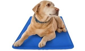 iMounTEK Pet Dog Cooling Mat Pressure Activated Gel Self Cooling Mat Pad