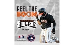 Schaumburg Boomers Baseball Game