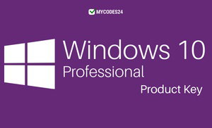 Windows 10 Professional or Home