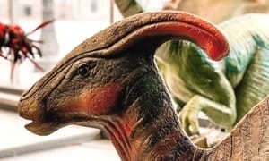 Up to 42% Off on Museum at I Dig Dinos Nwi