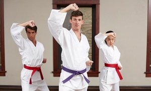 \\$15 Off \\$30 Worth of Martial Arts / Karate / MMA - Kids