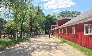 Horseback-Riding Lessons