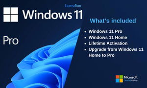 Microsoft Windows 11 Pro Lifetime Product Key Up to 89% Off