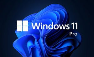 Microsoft Windows 11 Pro