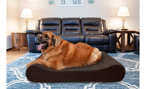 Furhaven Memory Foam Orthoped...