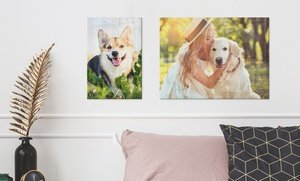 Up to 82% Off Custom Acrylic Print from CanvasOnSale