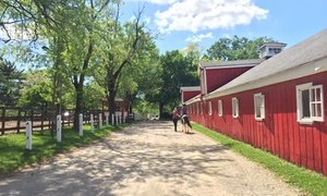 Up to 54% Off on Horse Back Riding - Recreational at New Traditions Riding Academy