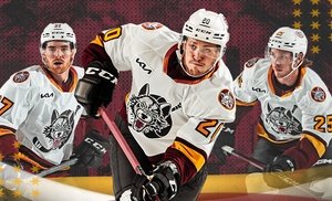 Chicago Wolves Hockey