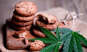 Cannabis Edible Certificate Course at The Weedology School
