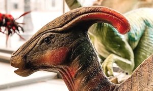 Up to 49% Off on Museum at I Dig Dinos Nwi