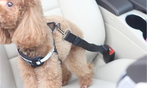 iMounTEK Pet Dog or Cat Vehicle Safety Seat Belt Buckle Leash (2-Pack)