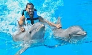 Up to 52% Off Dolphin Experiences at Dolphin Discovery